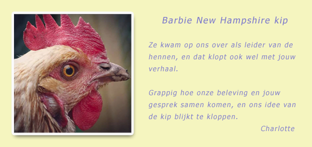 Review groepshealing dieren gegeven door healer Anita Poelman