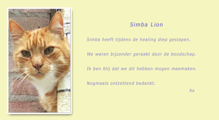 Review groepshealing dieren gegeven door healer Anita Poelman