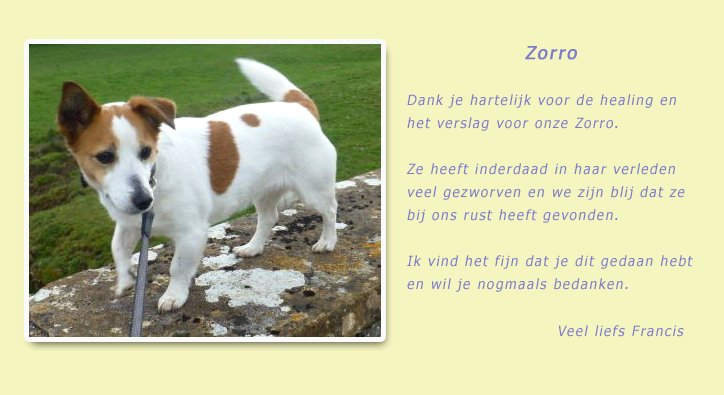 Review groepshealing dieren gegeven door healer Anita Poelman